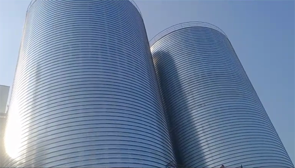 冯坡镇2座混凝土高架卷板仓